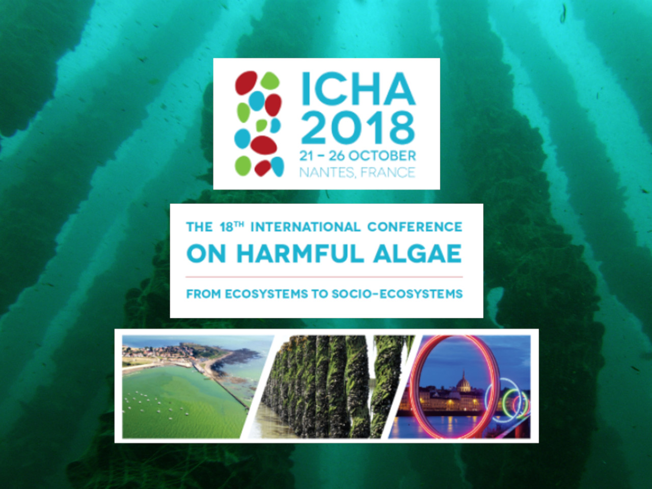 ICHA - THE 18TH INTERNATIONAL CONFERENCE ON HARMFUL ALGAE